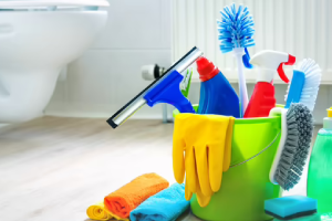 Messie Reinigung Bernau Bei Berlin