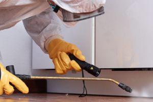 Messie Schädlingsbekämpfung Bernau Bei Berlin